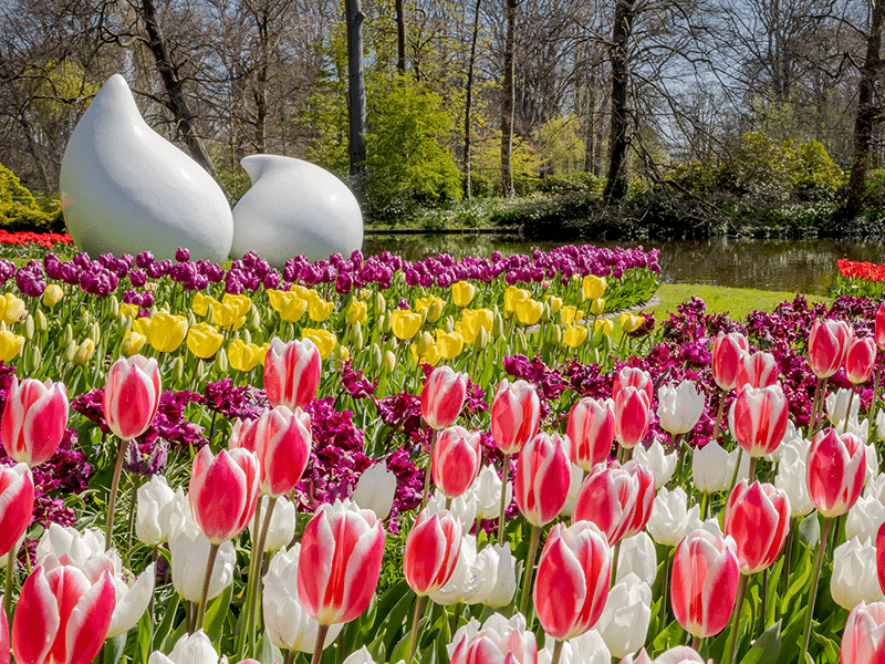 Private Keukenhof Tours